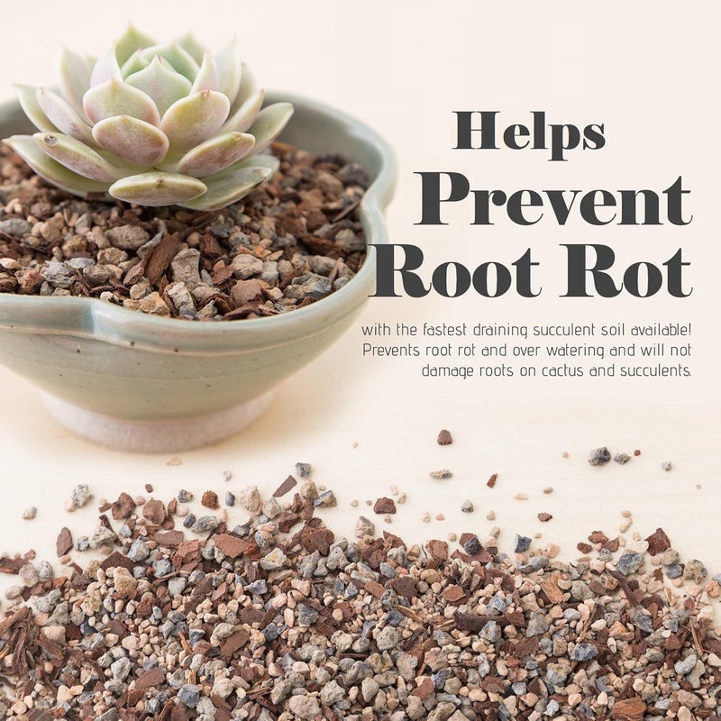 Bonsai Jack تربة العصاريات، الصبار وبونساي - مزيج جاك الجريتي - 2 كوارت - تصريف سريع - مكافحة تعفن الجذور - pH محسّن - Image 2